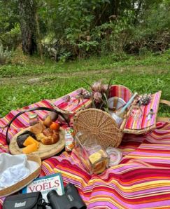 Picnic Rug Carnival Large