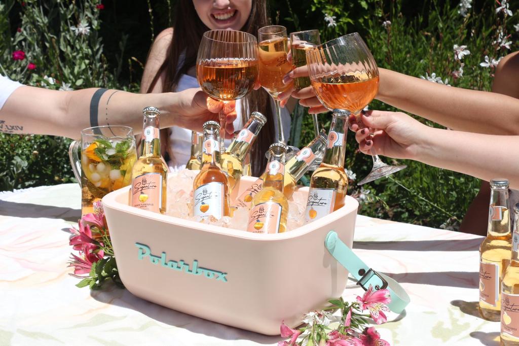 POLARBOX RETRO COOLER BOX 12L PINK AND CYAN