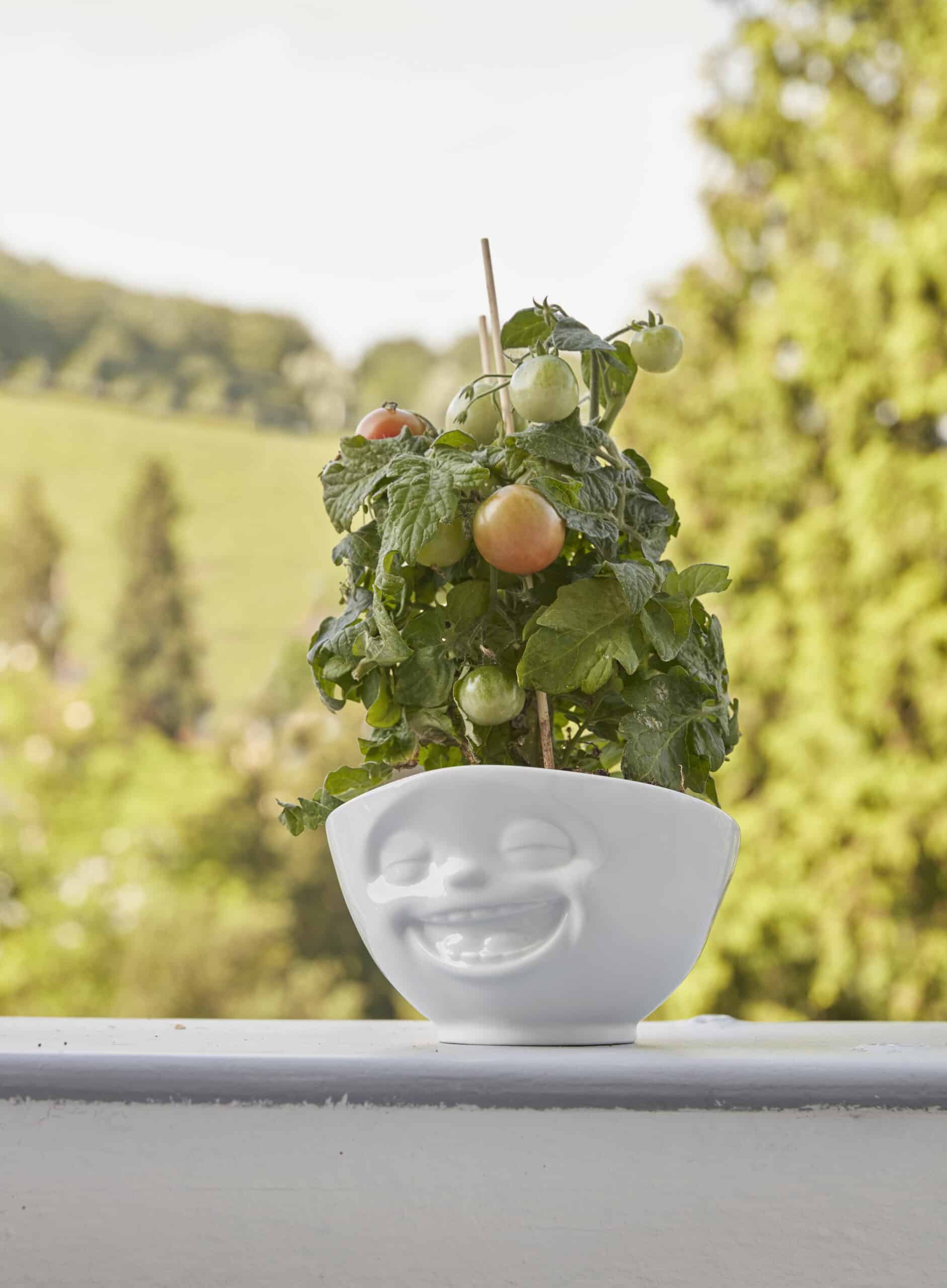 Tassen Bowl Laughing 500ml