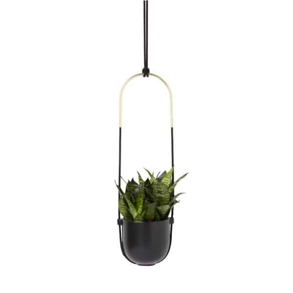 Umbra Bolo Planter Black