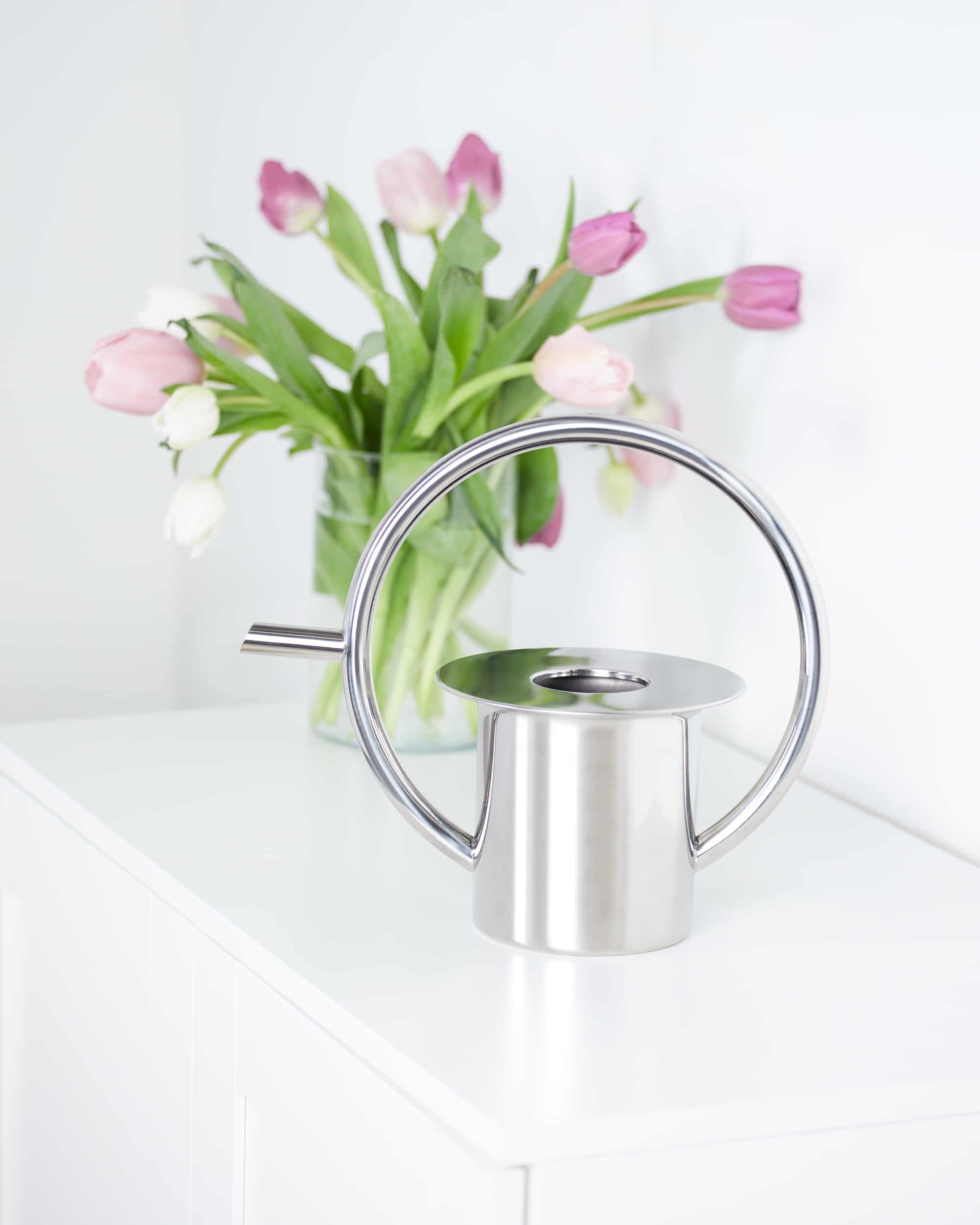 Umbra Quench Watering Can 1L Stainless steel